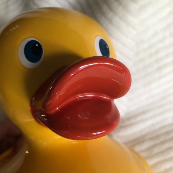 Teleflora Rubber Duck Planter Vase - Picture 3 of 16